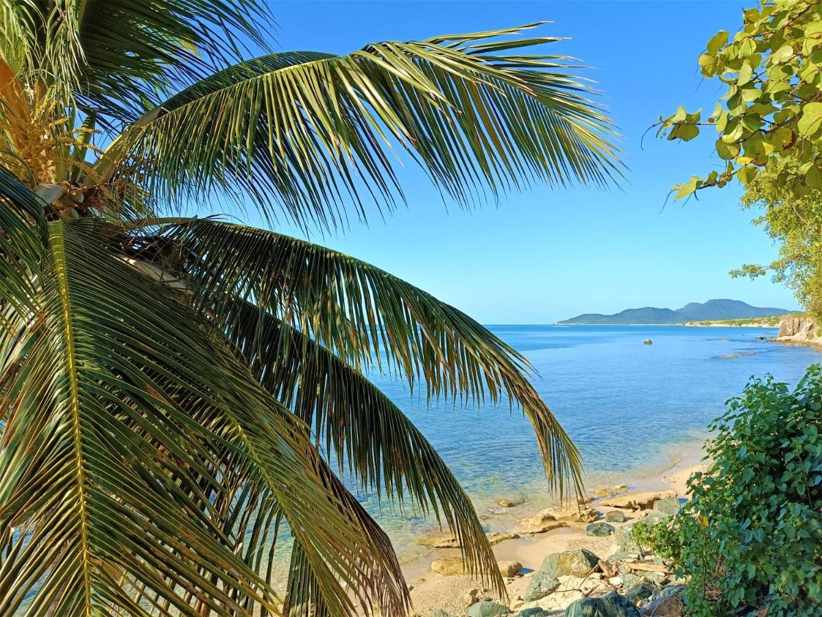 Waterside Inn Vieques Eksteriør billede